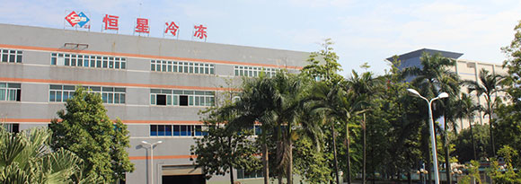 公司情形